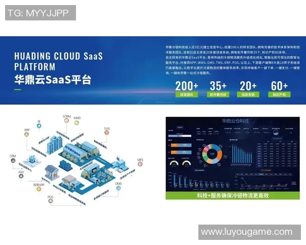 构建智能化快递物流体系推动效率提升与服务优化的探索与实践