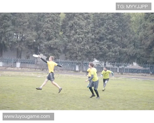 从零起步掌握飞盘技巧与力量训练的全面指南