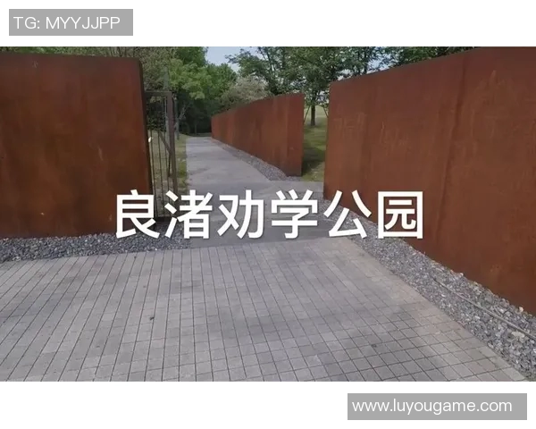 杭州滑板队运营策略深度分析与成功经验分享