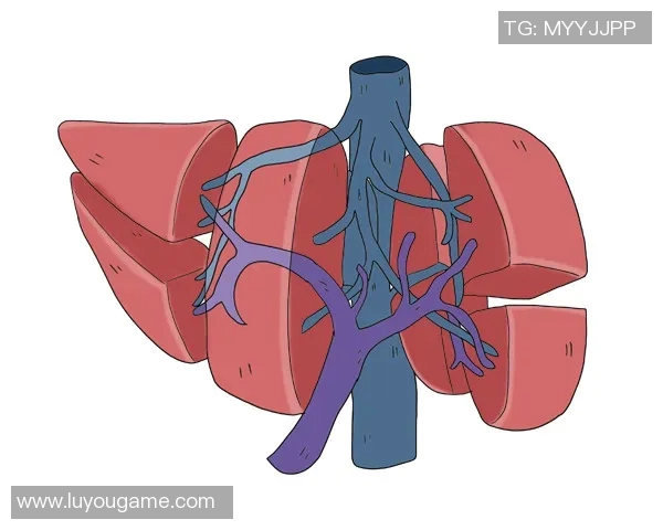 杨静畅谈DOTA2发展历程与个人成长之路的深度专访