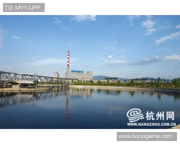 杭州飞盘队的转型之路与未来发展展望探讨